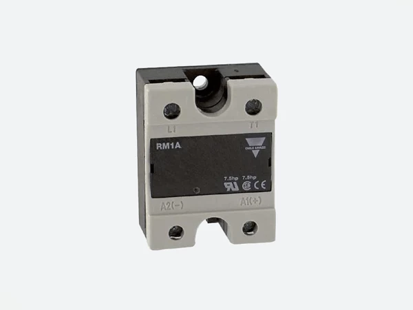 Carlo Gavazzi RM1A48A100