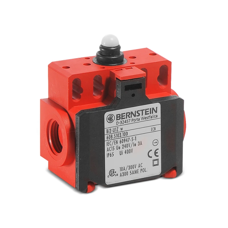 Bernstein BI2-SU1Z AH Limit Switch