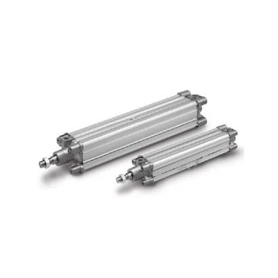 SMC CP96SDB100-600C Cylinder