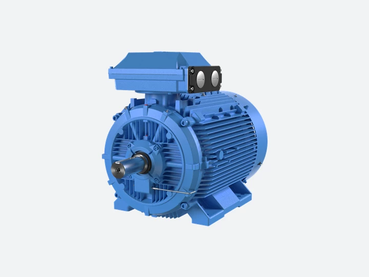 Electric motor