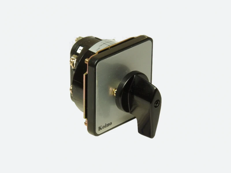 Cam switch