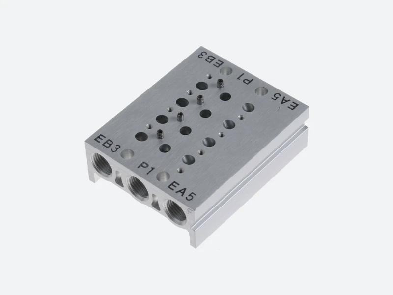 Manifold