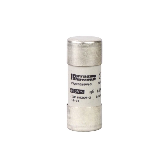 Schneider DF Fuse Link