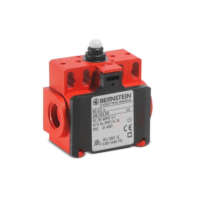 Bernstein Bi2 Limit Switch