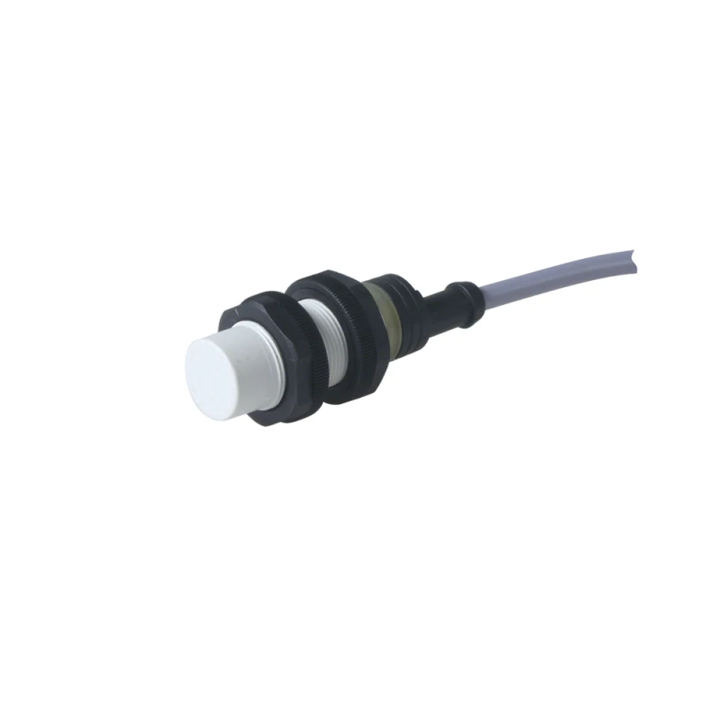 Carlo Gavazzi Inductive Sensor