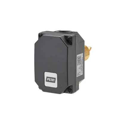 Johnson Controls Flow Switch